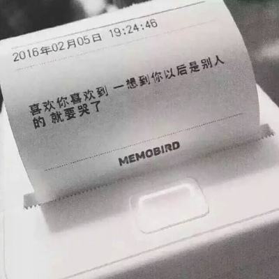 喵喵合成屋最新版本