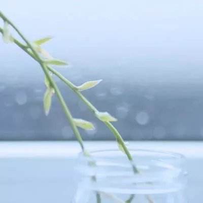 我的小小法师手机版下载