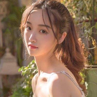秘境之争手游下载